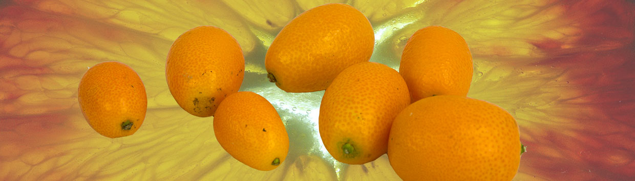Kumquats - süß-säuerlich vitaminreich snacken