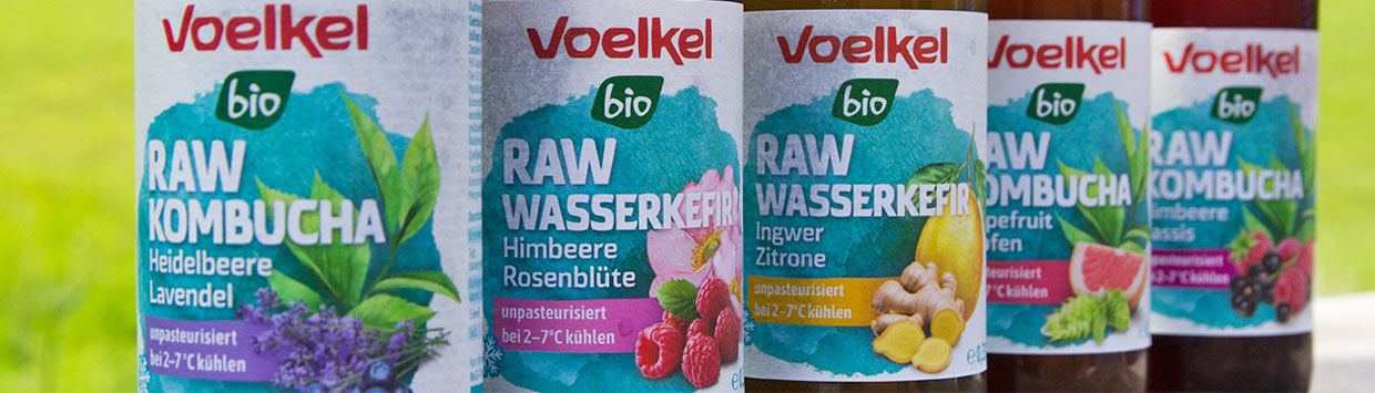 RAW Kombucha und Wasserkefir jetzt entdecken