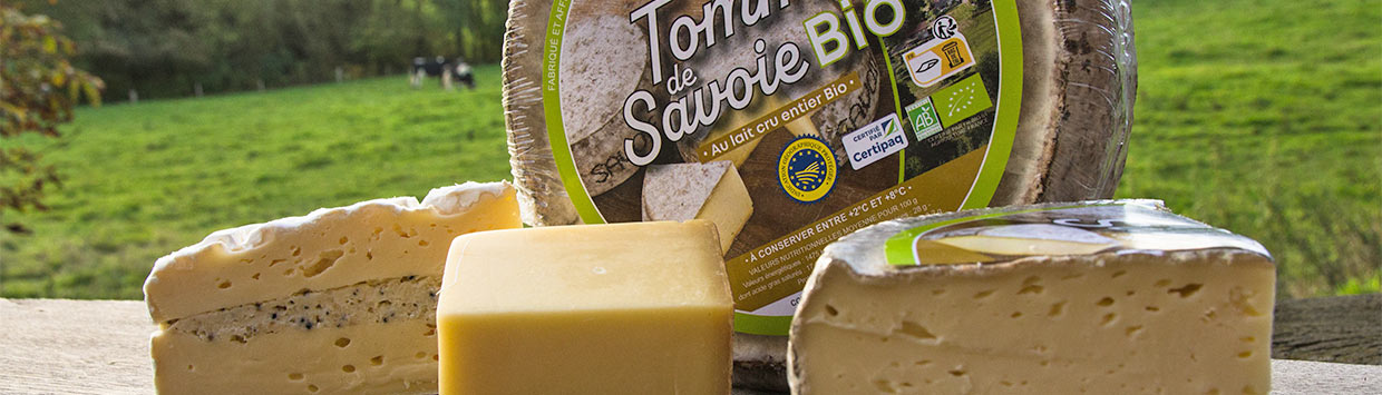 Käse macht den Herbst gemütlich!