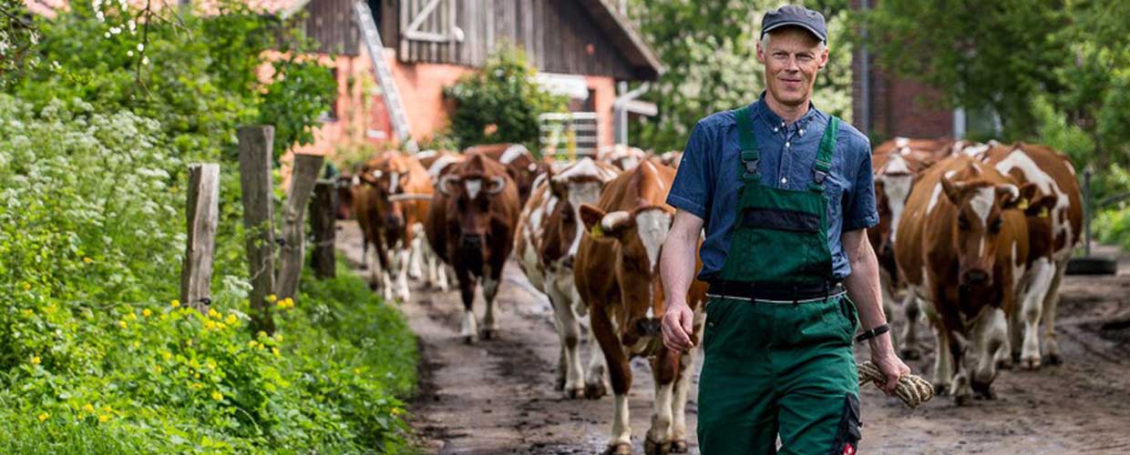 DEIN Vorstellung Hof Dannwisch