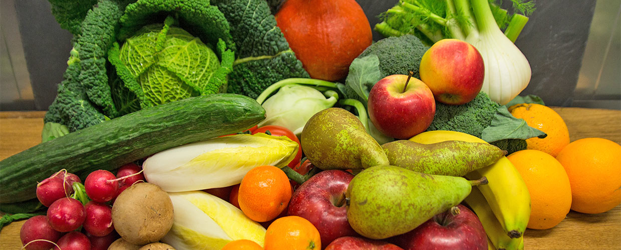 Deine Bio - Schnupperkiste - Jetzt mit 20% Rabatt bestellen