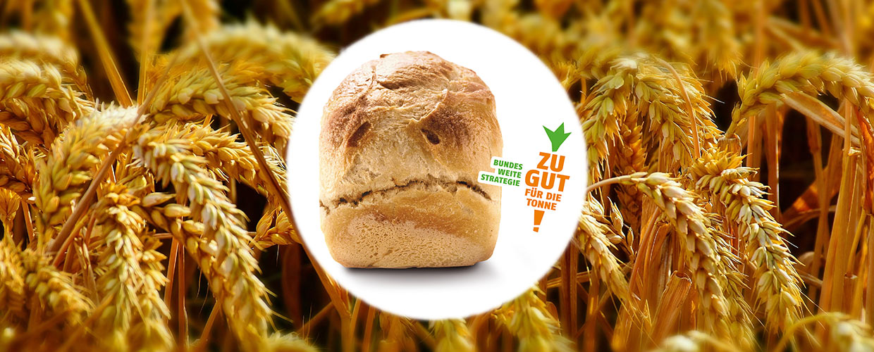 Werde Lebensmittelretter-in