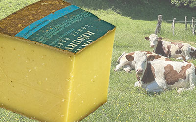 Comté, 24 Monate gereift - pure Käsekunst erleben