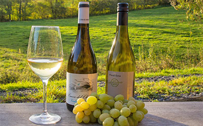 Jetzt im Wochenangebot: Verdejo und Pinot Gris