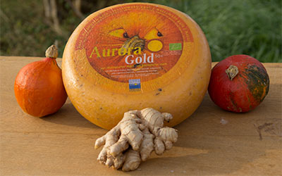 Der Aurora-Gold Halloweenkäse ist zurück