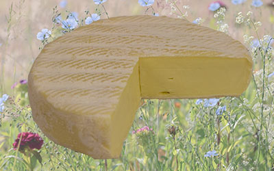 Cremiger Heumilchburschi - handwerklich gekäst