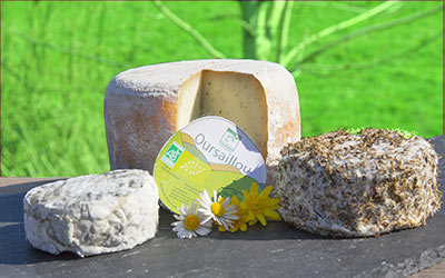 Sonnige Tage & frischer Ziegen- und Schafskäse